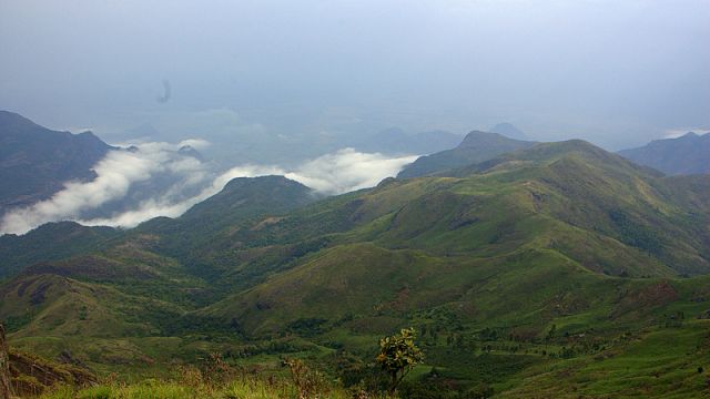 Palani_hills_kodaikanal.jpg